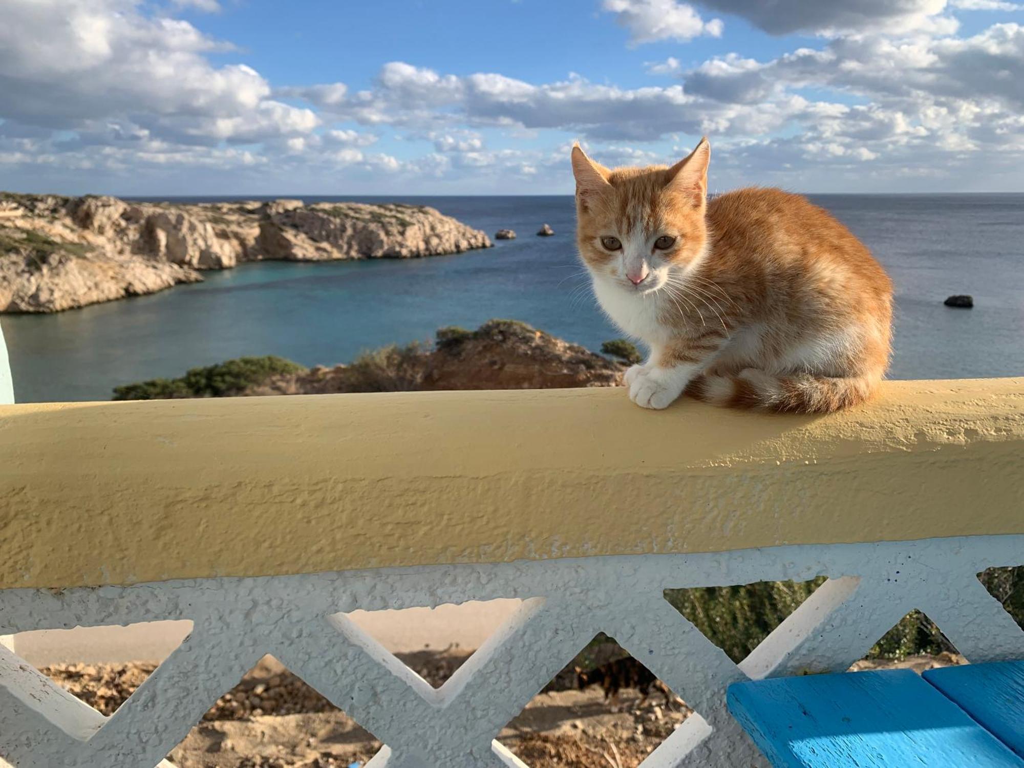 אמופי Studios Fokia Beach מראה חיצוני תמונה