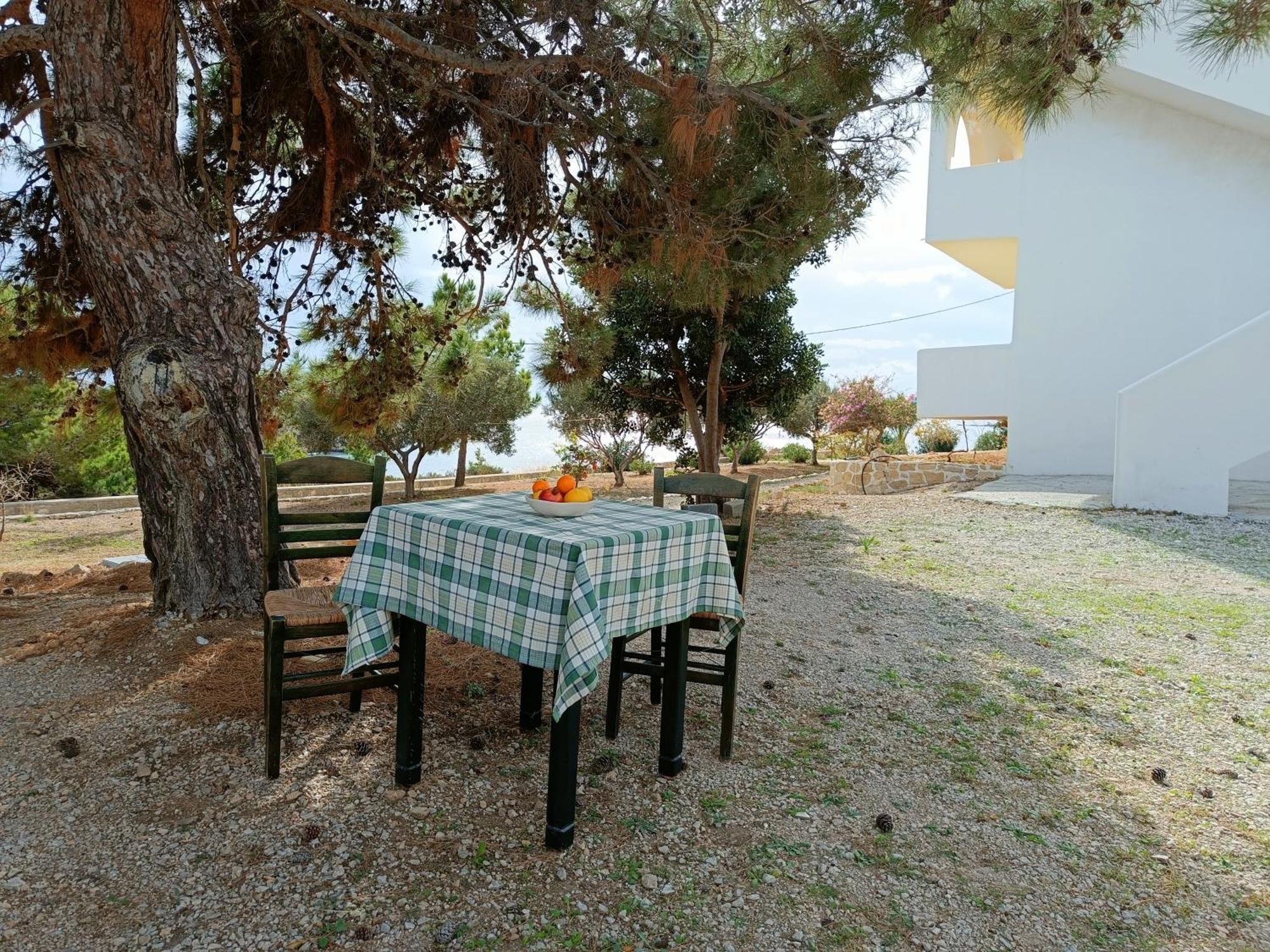 אמופי Studios Fokia Beach מראה חיצוני תמונה